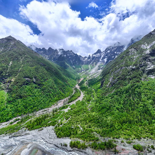 理小路風景