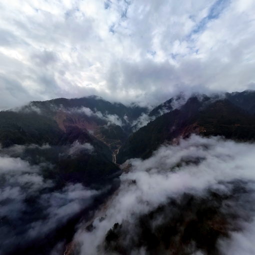 大相嶺南坡全景