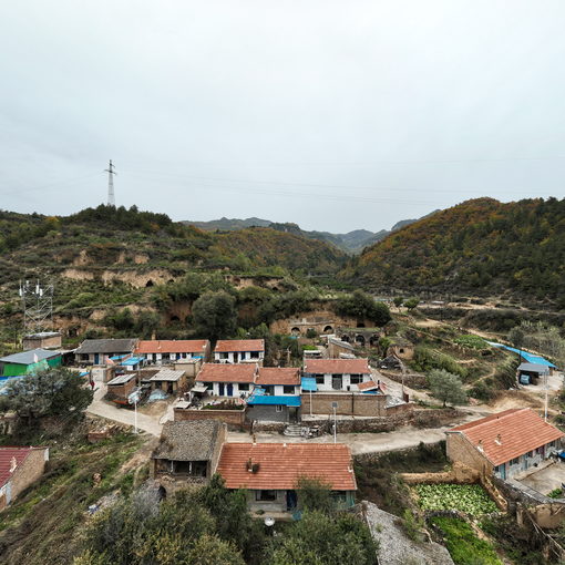 苍儿会全域全景