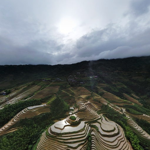 龍脊梯田