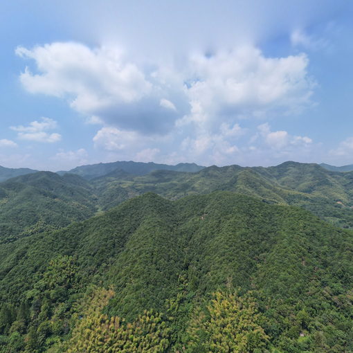 馬劍鎮建輝村