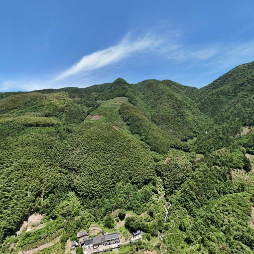 黃山湯口老蔣家