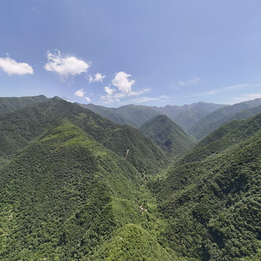 秦岭国家植物园