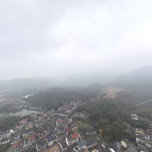新平阳村全景图