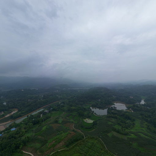 巴南區二圣鎮幸福村洛莎玫瑰園