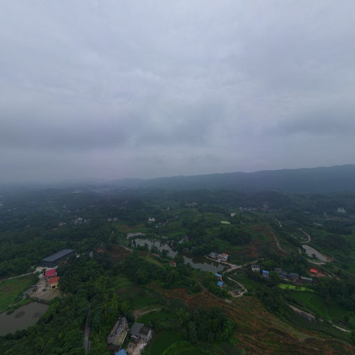 巴南區二圣鎮幸福村桃園附近