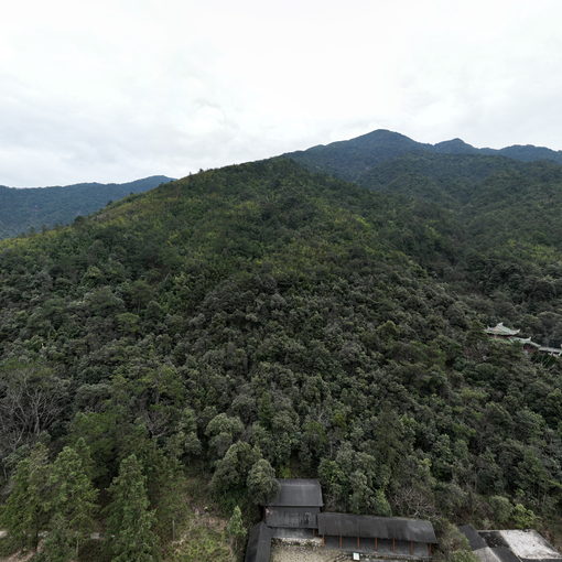 大草坪全景