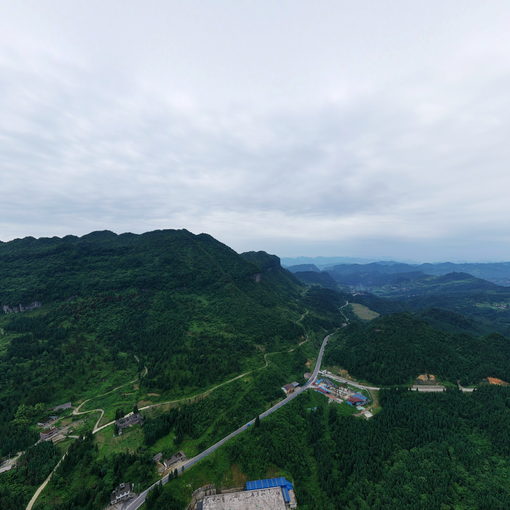 終南山野植珍竹筍廠