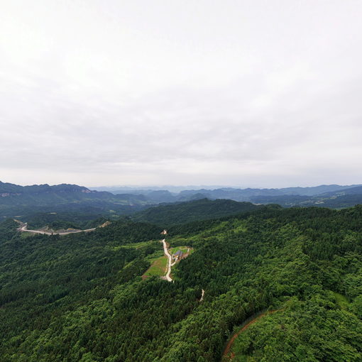 梅花鹿養殖基地