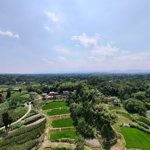 大院小院