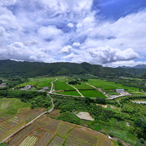 梅縣松源鎮農田