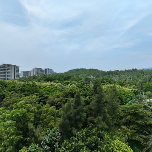 龍岐銀灘公園