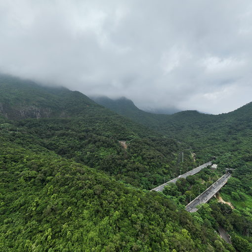 梧桐山民宿