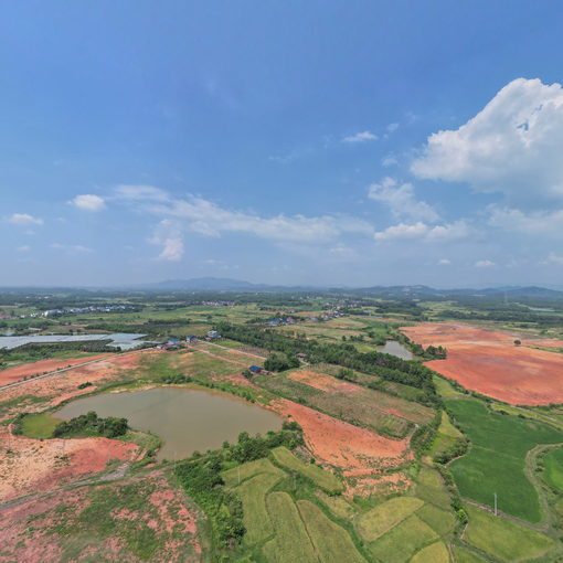 河潭垦殖场圳畔垦殖分场编号0957