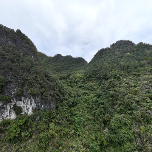 交麻村水淹坝组坡顶.