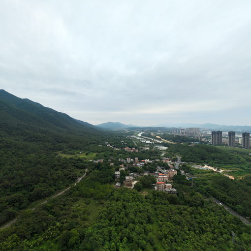 三水陳森花場全景圖