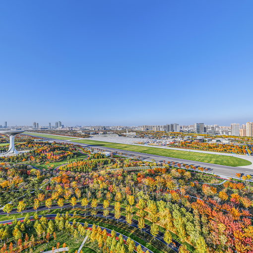 駱崗公園信號塔秋景