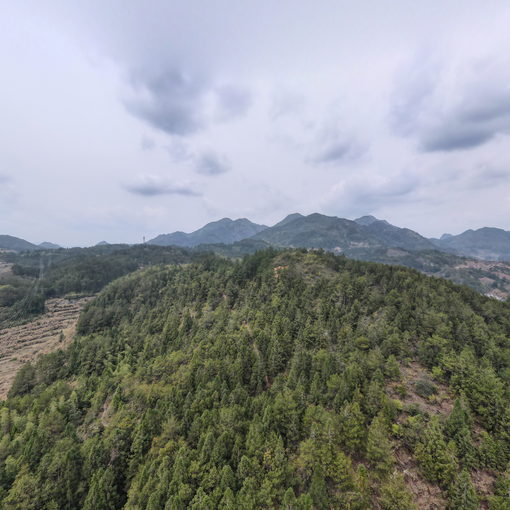 礼门乡贡川骨灰墙