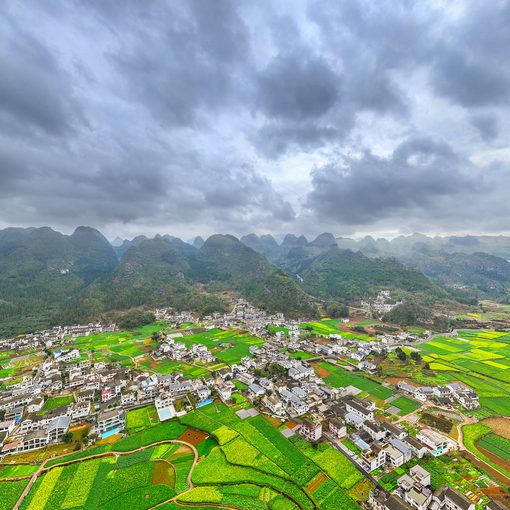 貴州興義萬(wàn)峰林油菜花全景