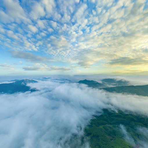 田東蓮花山霧景