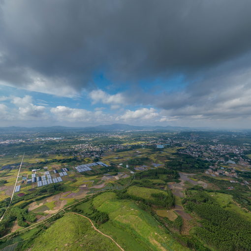 独岭千亩药材基地