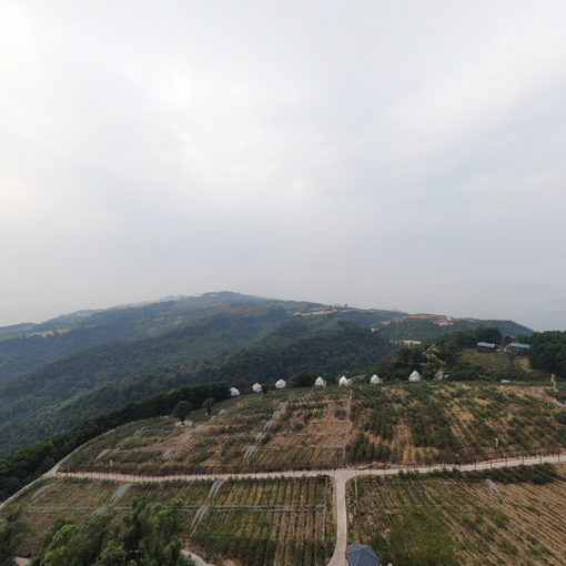 藍莓莊園-懸崖帳篷