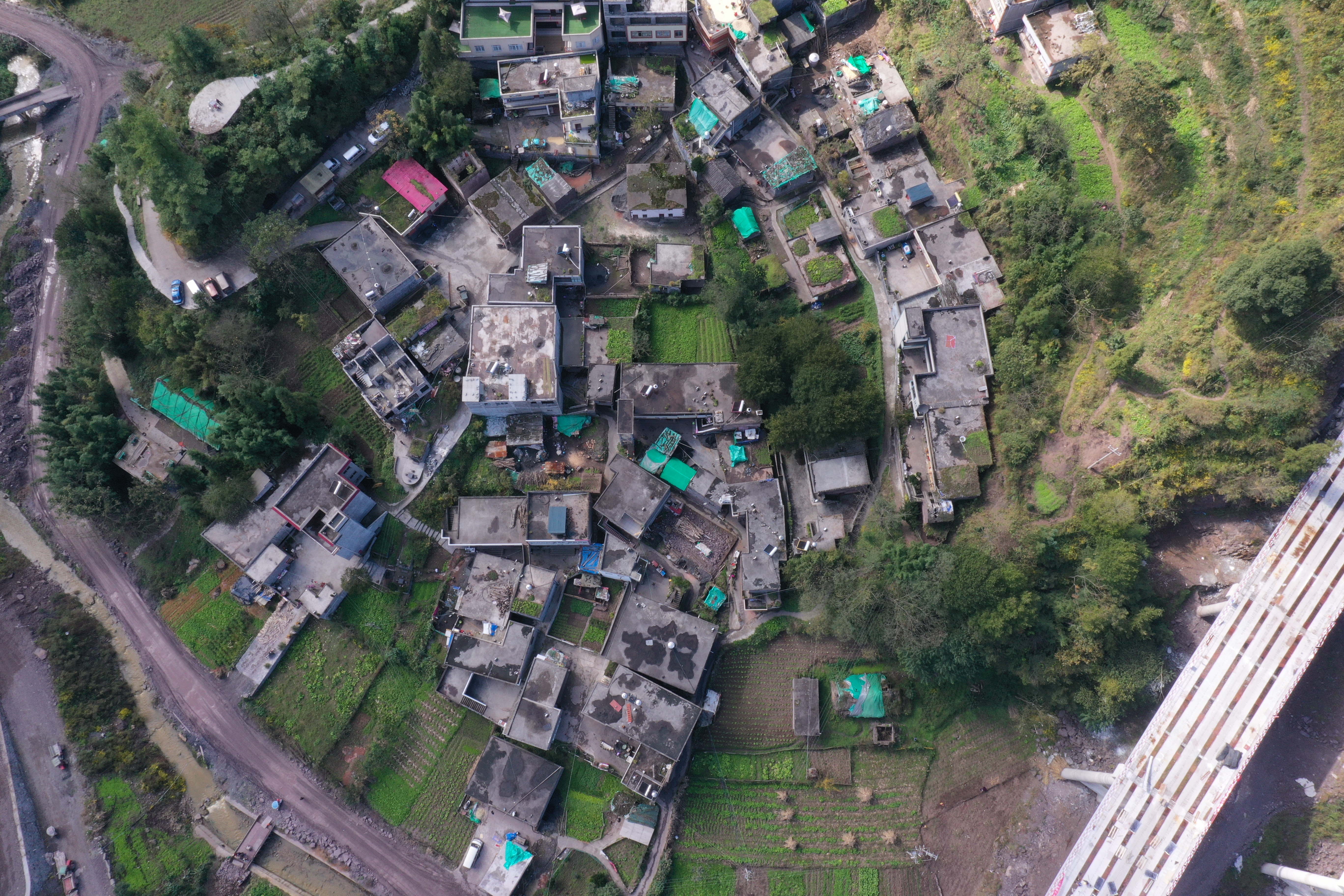 曾家院子全景