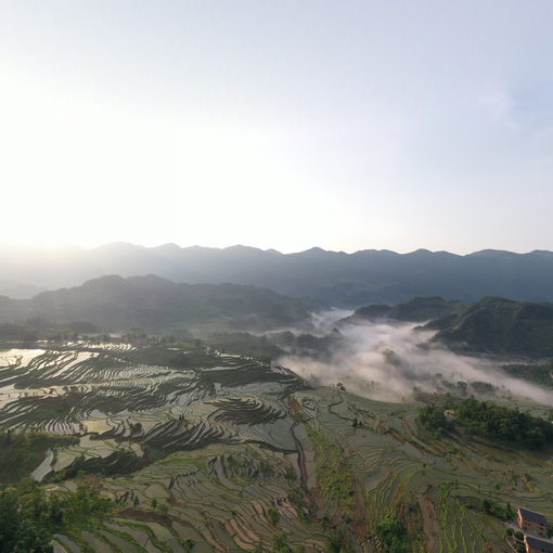 酉阳花田何家岩梯田