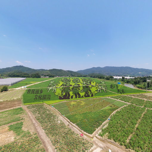 龍門稻田藝術(shù)