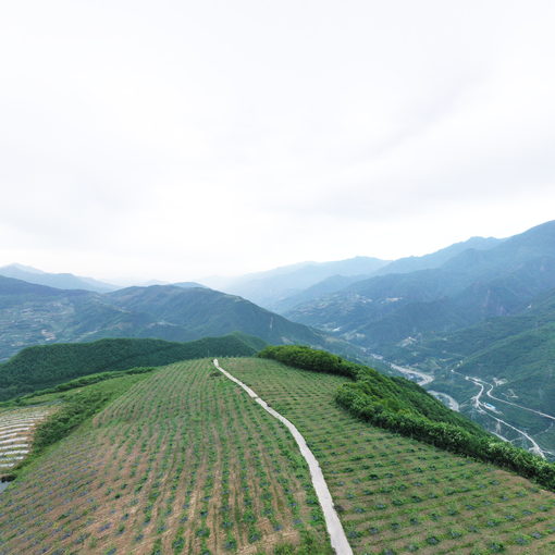 茂县-松潘-无人机放牧场景