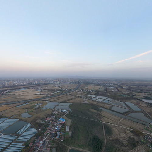全椒县六镇镇金蝉芦笋项目影像（2021年11月22日摄）