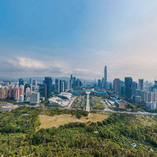 深圳蓮花山