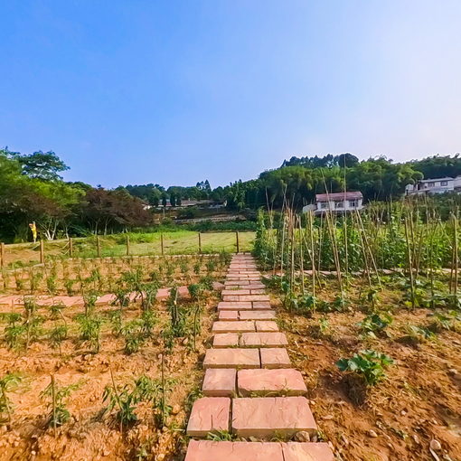 有機(jī)菜園