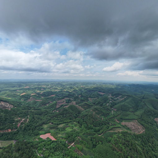 大塘鎮(zhèn)那造村