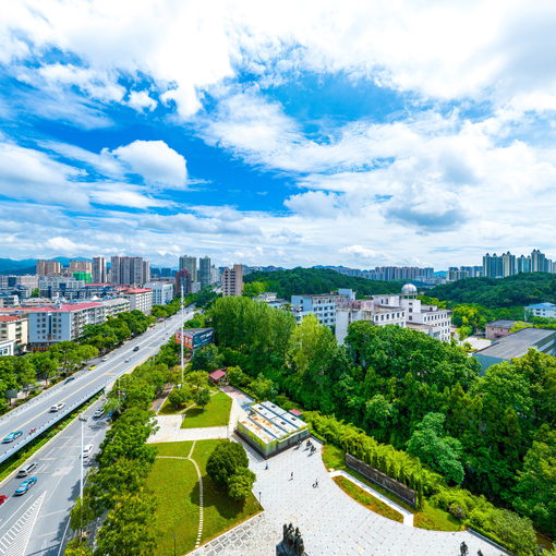 浏阳市大吉烟花集团