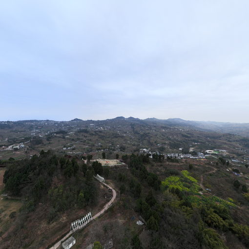 星空東山森林步道